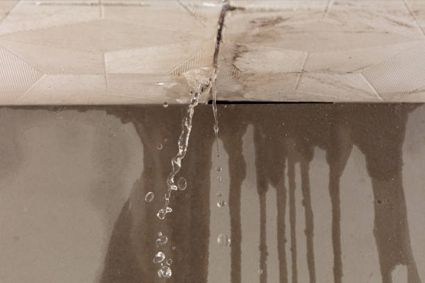 Professional Structural Drying technician working in Greene, ME
